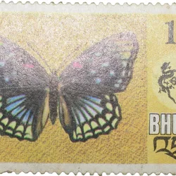 Postal Stamp of Bhutan Country with Butter Fly - Sephisa Chandra 1 Chutrum Mint Un-Used Condition as per image.
