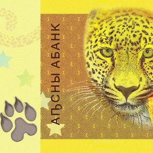 10 Apsars of Abkhazia Country (AD 2024) with Caucasian leopard (Panthera pardus tulliana)