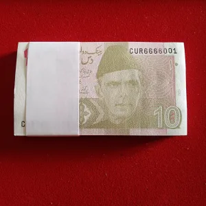 Ten Rupees Ex Rare Fancy Number Full Bundle State Bank of Pakistan 6666001