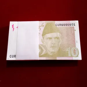 Extremely Rare 10 Rupees Fancy Number Full Bundle 666666State Bank of Pakistan 6666601