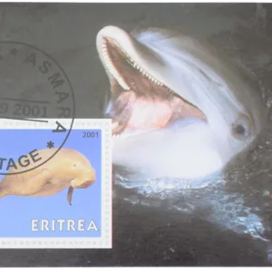 Postal CTO Stamp of Eritrea Country (AD 2001) of 10 Denomination with A Dolphine Un-Used as per Image.