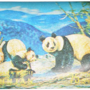 Postal 3D Stamp of Bhutan Country (AD 1970) 75 Chhertums with Giant Pandas in a Mountain and Bamboo setting -  Un-Used Condition as per Image, Rare.