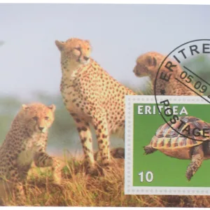 Postal CTO Stamp of Eritrea Country (AD 2001) of 10 Denomination with a turtle and cheetahs Un-Used as per Image.