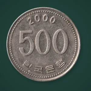 Rare 500 Won 2000 Manchurian Crane Bank of Korea South Korea World Coin # A895