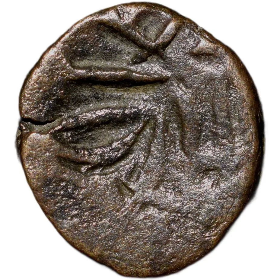 Copper Kakani of Deva Naga(AD 320-335) of Nagas Dynasty Bull/Trident type