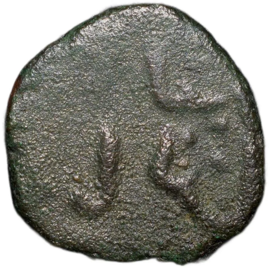 Copper 1/4 Falus of Perhaps Muhammad Shah I(AD1359-75) of Bahamani Sultanate Unlisted Rare
