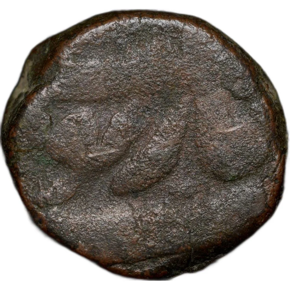 Copper Dam of Shah Jahan(AD1628-58) of Narnol Mint KM 206.1 Rare