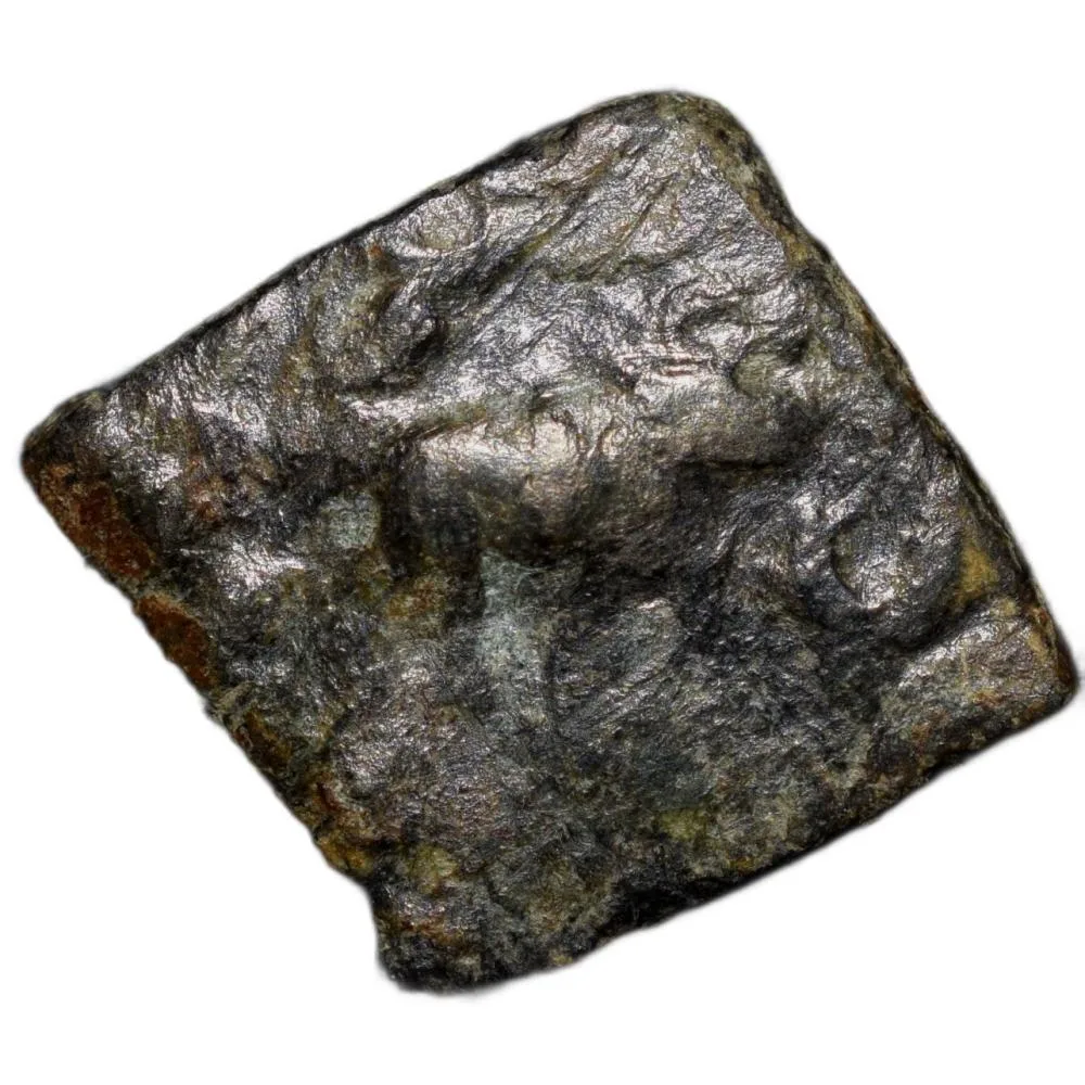 Copper Coin of Bhadra/Mitra Dynasty(2nd Cen.BC) from Vidarbha Region with Chhatra above Elephant Rig