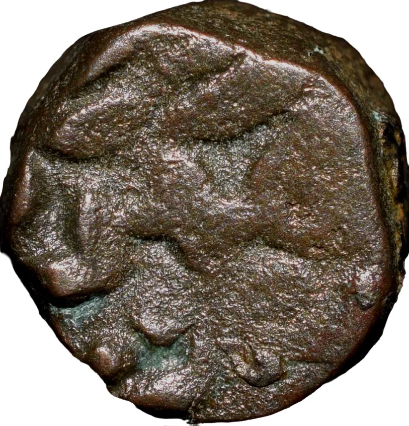 Copper 1/4 Tanka of Sikander Shah Lodi(AD 1488-1517) of Delhi Sultanate D710