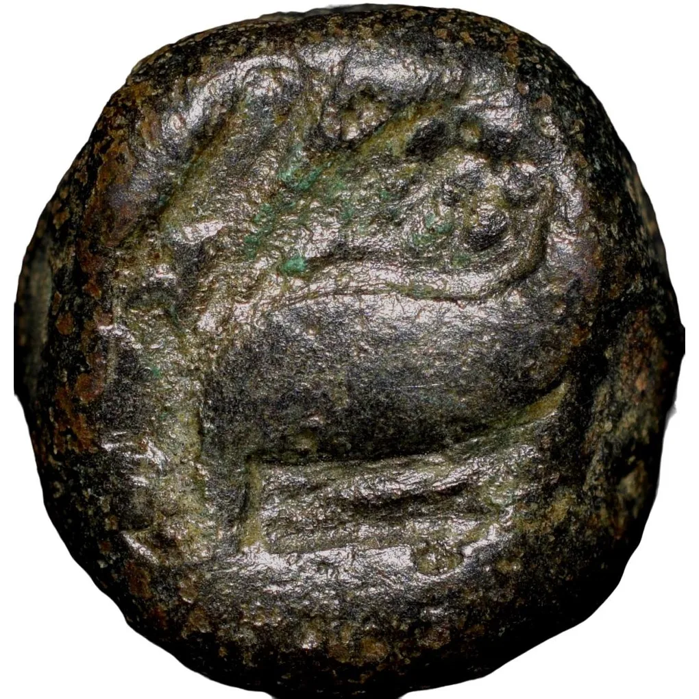 Copper 1/4 Dam of Akbar(AD 1556-1605) of Berar Mint ilahi Farwardin 4X