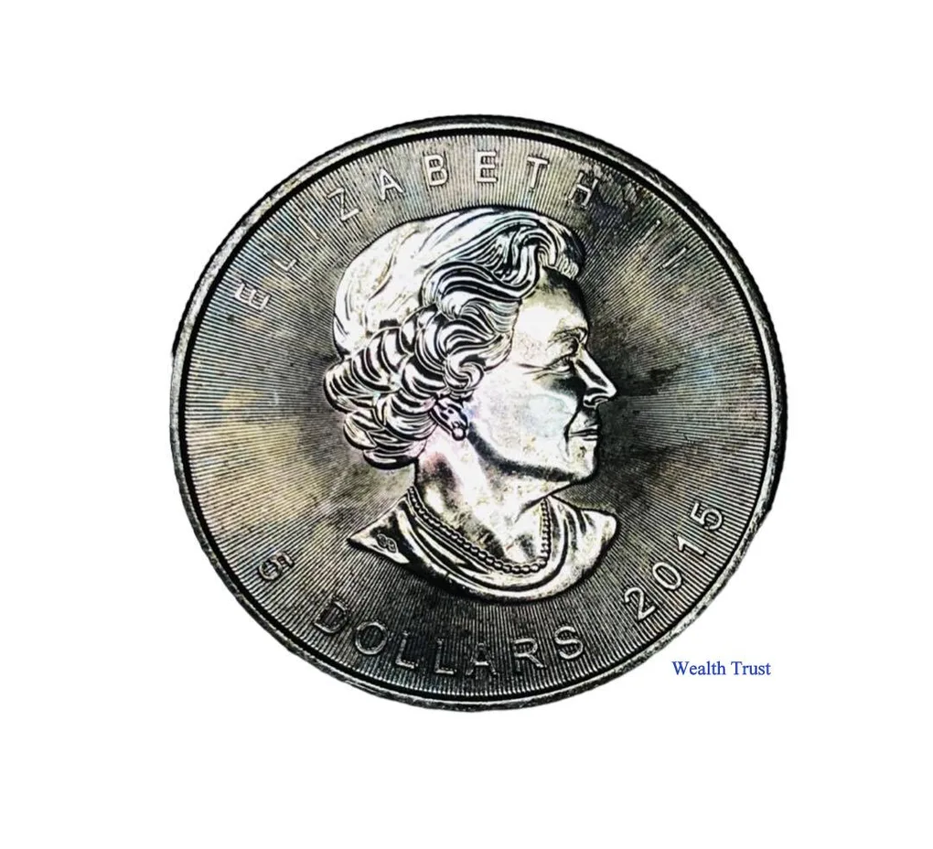 1 Oz Silver Bullion Coin Canada Mint 9999 Silver 2015 Coin Rare and Unique