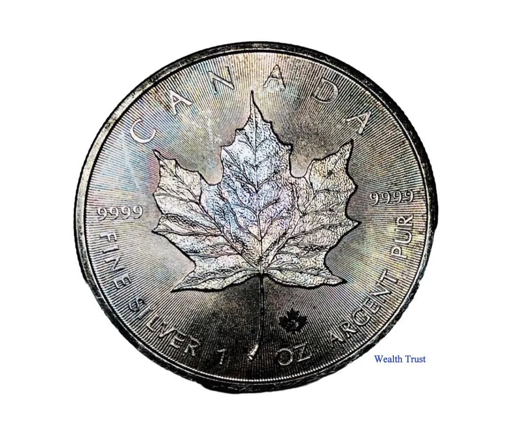 1 Oz Silver Bullion Coin Canada Mint 9999 Silver 2015 Coin Rare and Unique