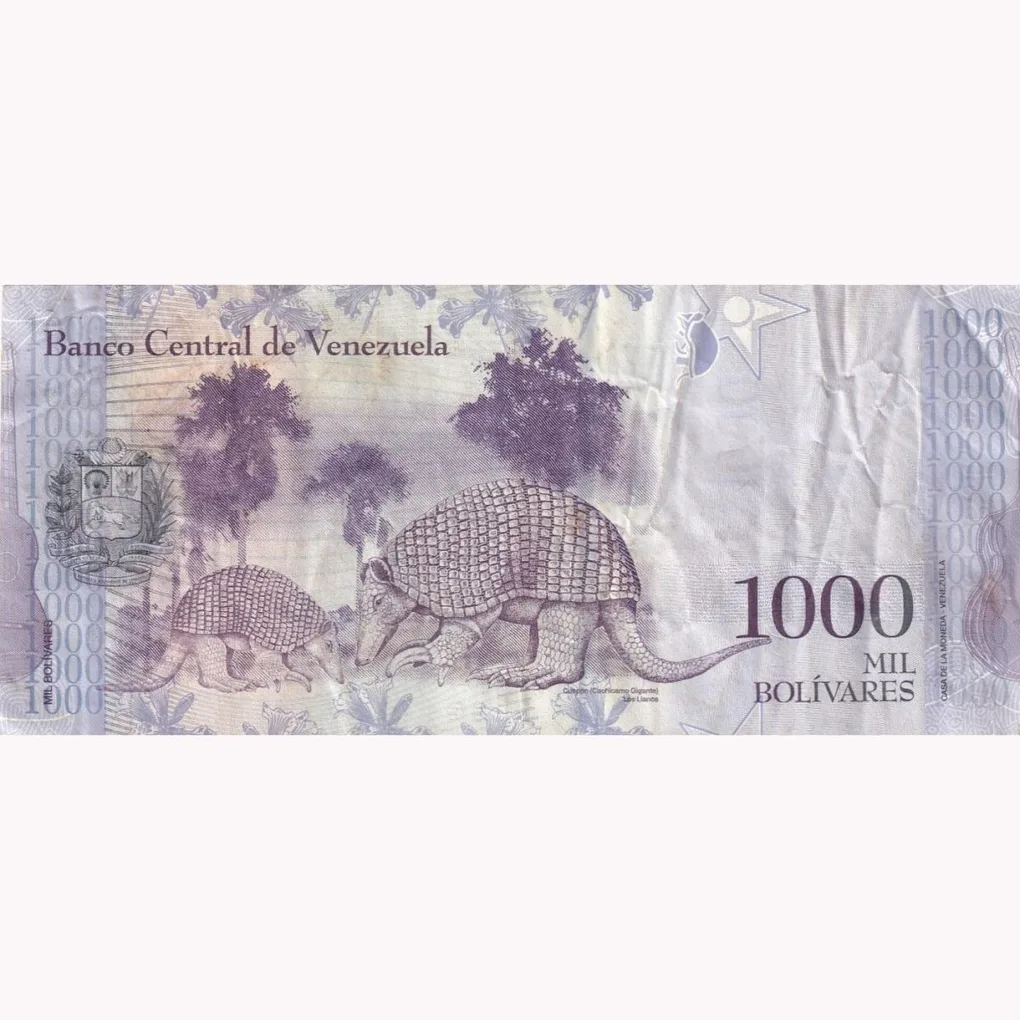 Venezuela 1000 Bolívares Standard bank Note lowest Price