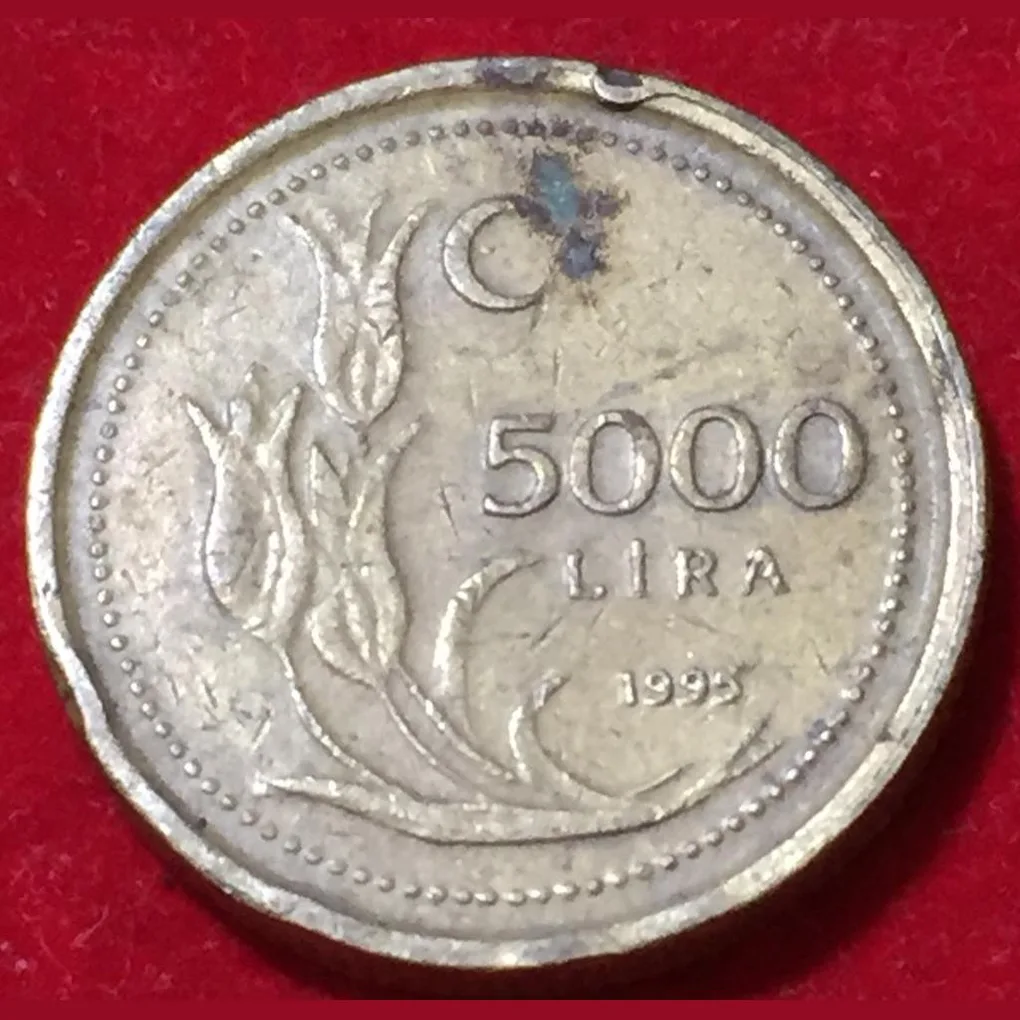 1995 Turkey 5000 Lira Coin #B151