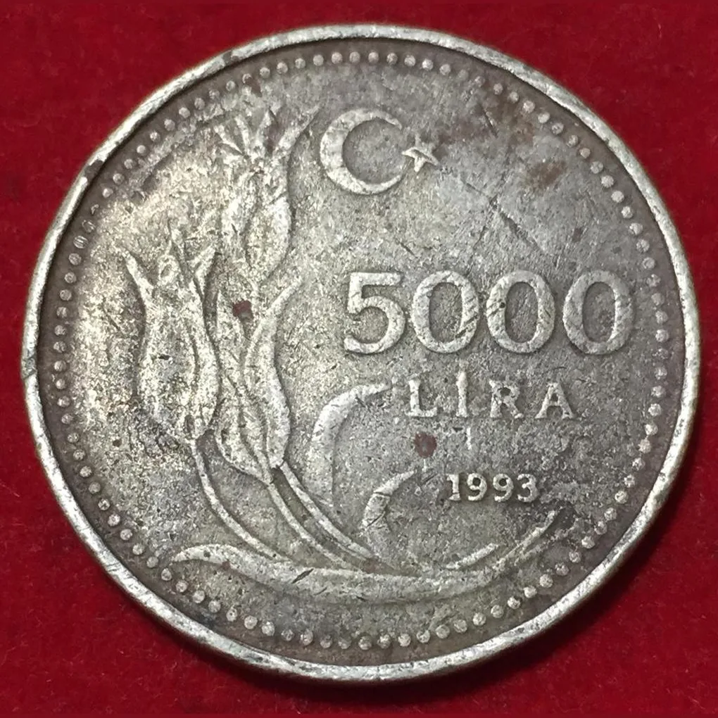 1993 Turkey 5000 Lira Rare Coin Lowest Price #N196