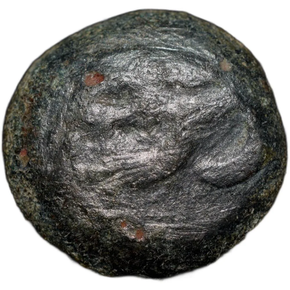 Cast Copper Coin of Bhadra/Mitra Dynasty (3rd - 2nd Cen. BC) with Chhatra above Elephant/Dharma Chakra