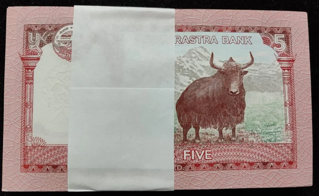 Nepal 5 ruppes 100 note unc packet lowest price buyer recieve 1 packet