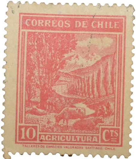 Old Postal Stamp of Chile - Agriculture 10 Cents Red Colour - Used Condition as per Image.