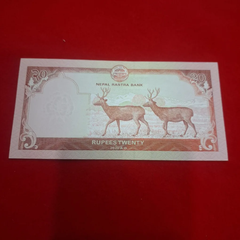 Nepal 20 Rupee Note GEM UNC Condition