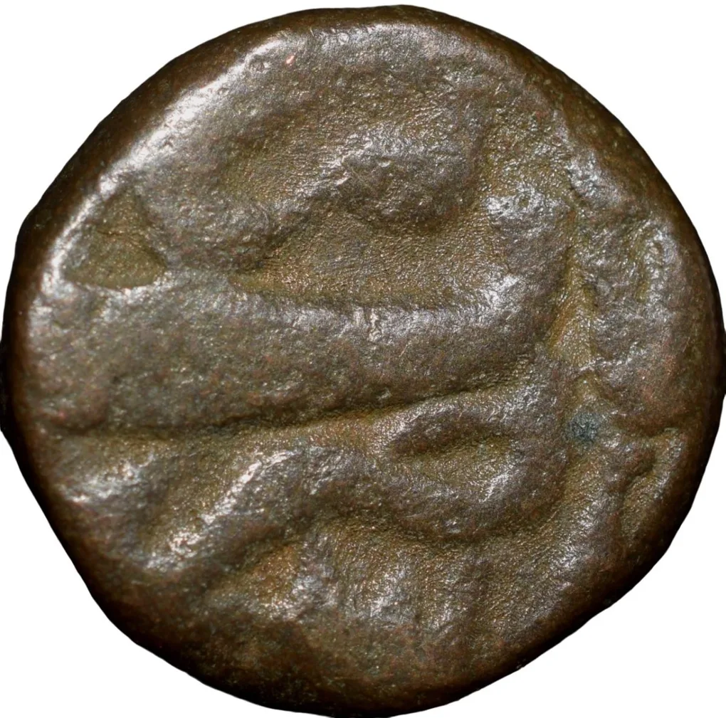 Copper 1/2 Dam of Shah Jahan(AD1628-1658) of Bairata Mint Sahib-i-Qiran-i-Sani Rare