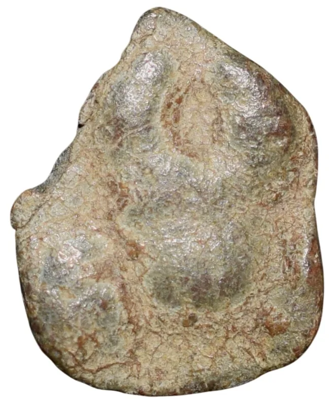 Lead Coin of Satavahana Dynasty (1st Cen. BC) from Vidarbha(Pauni) Region Bold Nandipad/Ujjaini Symbol