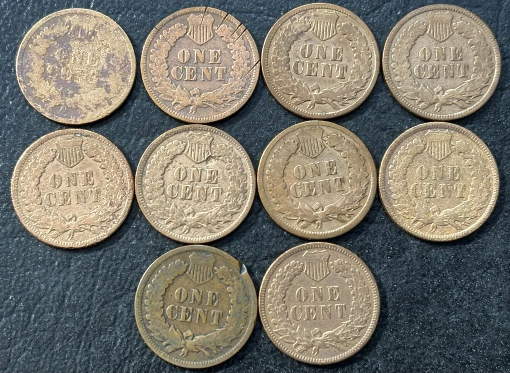 USA Indian Head 10 Different Years One Cent Collection