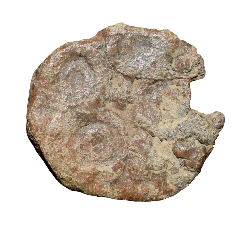 Lead coin of Satavahan Dynasty (1st Cen. BC) from Vidarbha with 8-Spoked Wheel/Ujjaini Symbol