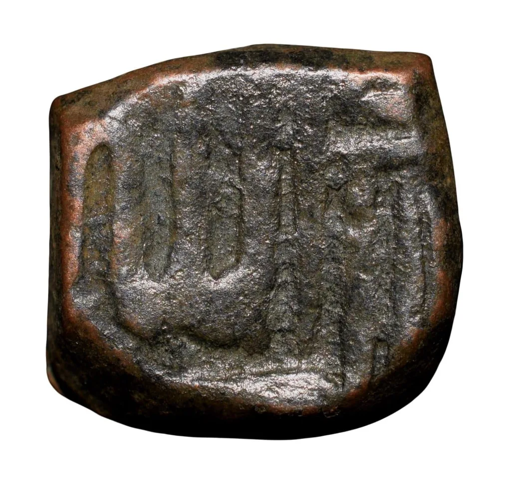 Copper Falus of Akbar(AD 1556-1605) of Chainpur Mint Rare