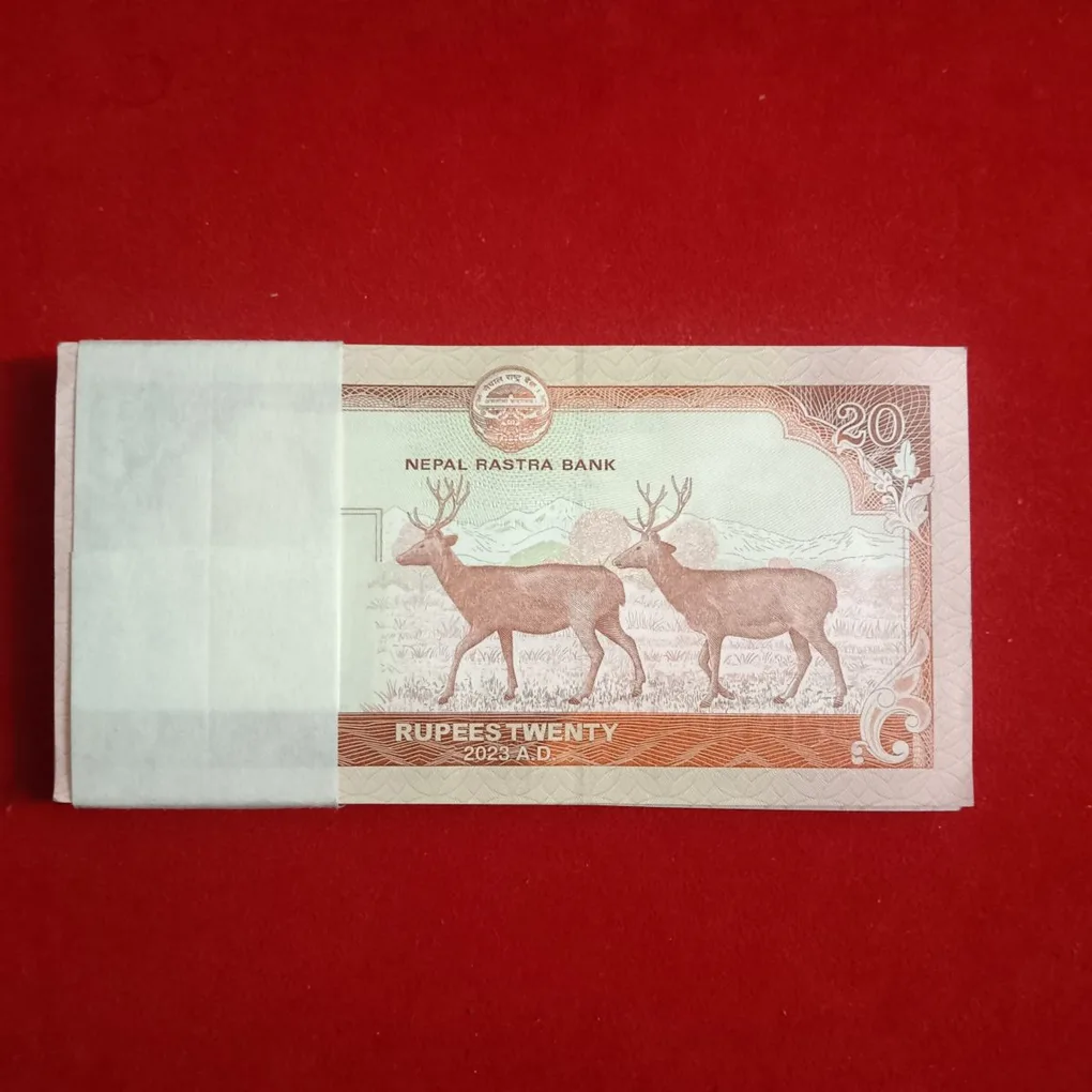 Rare 20 Twenty Rs Nepal Full Bundle Nepal Rashtriya Bank