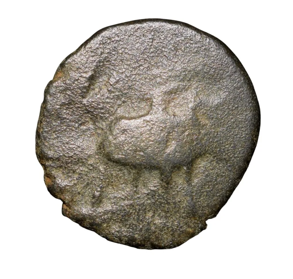 Copper-Alloy Coin of Bhimavarman(3rd Cen. AD) of Magh Dynasty of Kausambhi Bull/Inscription Rare