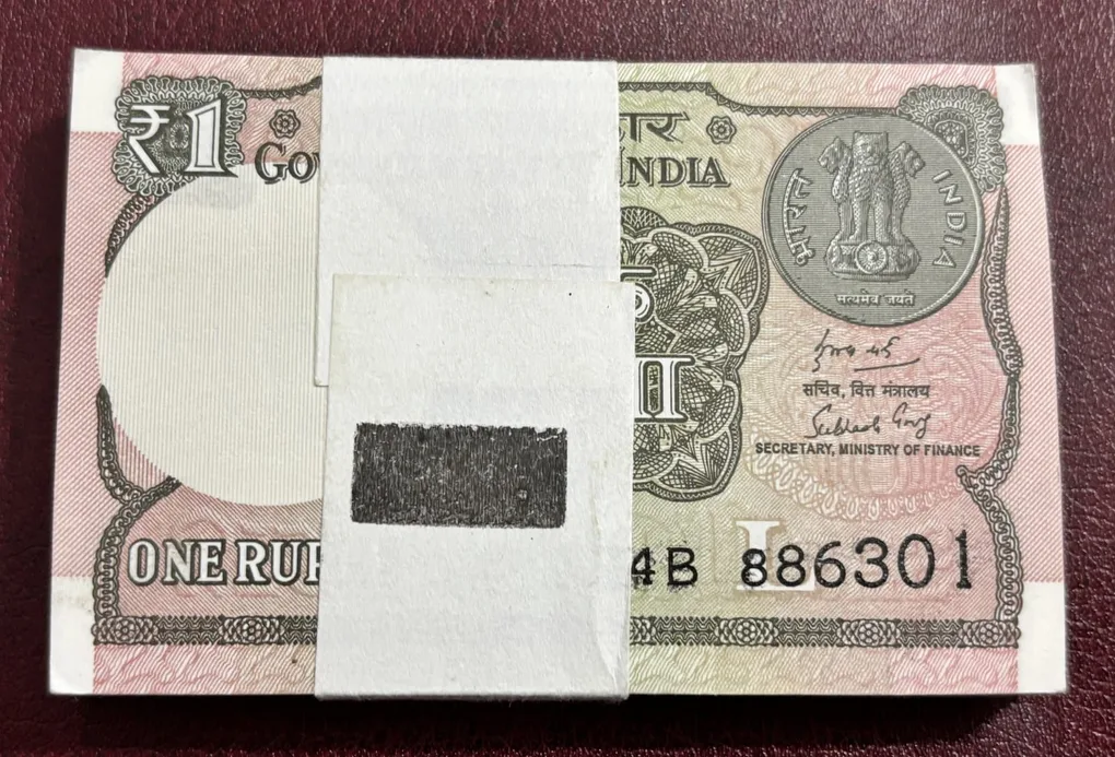 one rupee 2019 pink colored 100 Notes Serial bundle