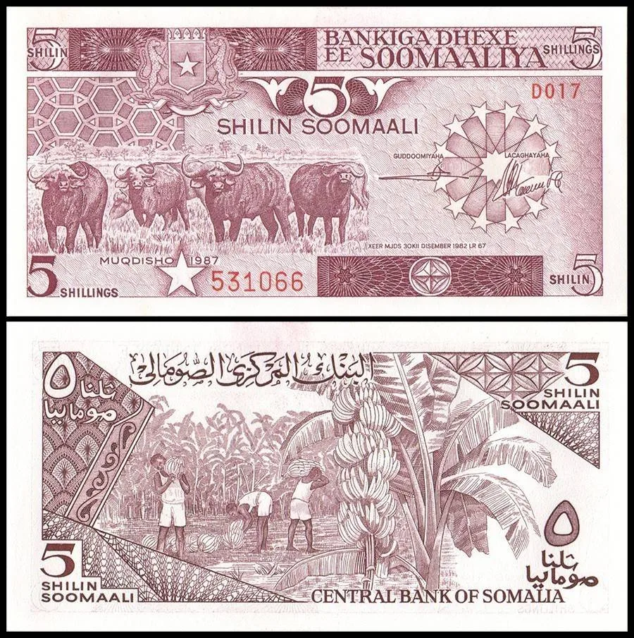 Somalia 5 Shillings Banknote 1987 P31c UNC Unique and Rare