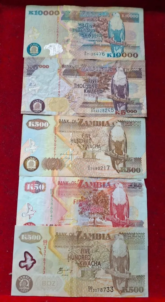 Zambia Big Size Big Denomination Rare (12 Pcs Set) Lowest Price