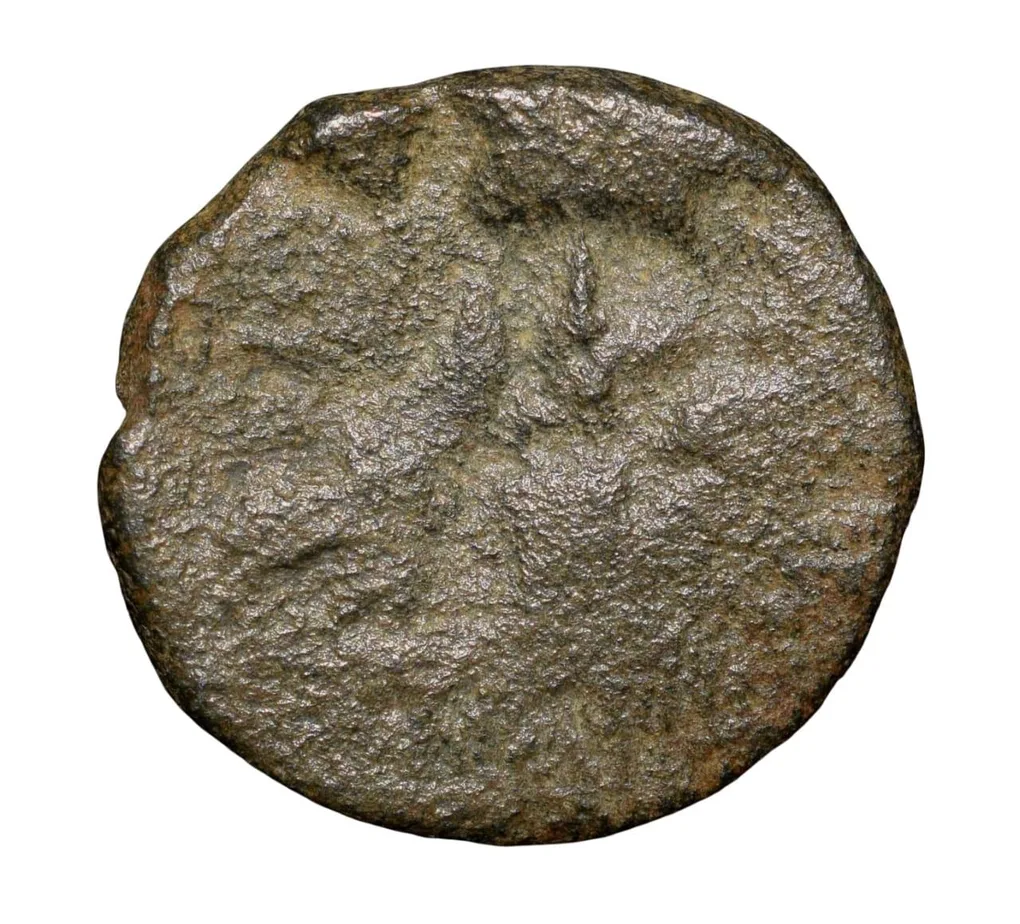 Copper-Alloy Coin of Bhimavarman(3rd Cen. AD) of Magh Dynasty of Kausambhi Bull/Tree