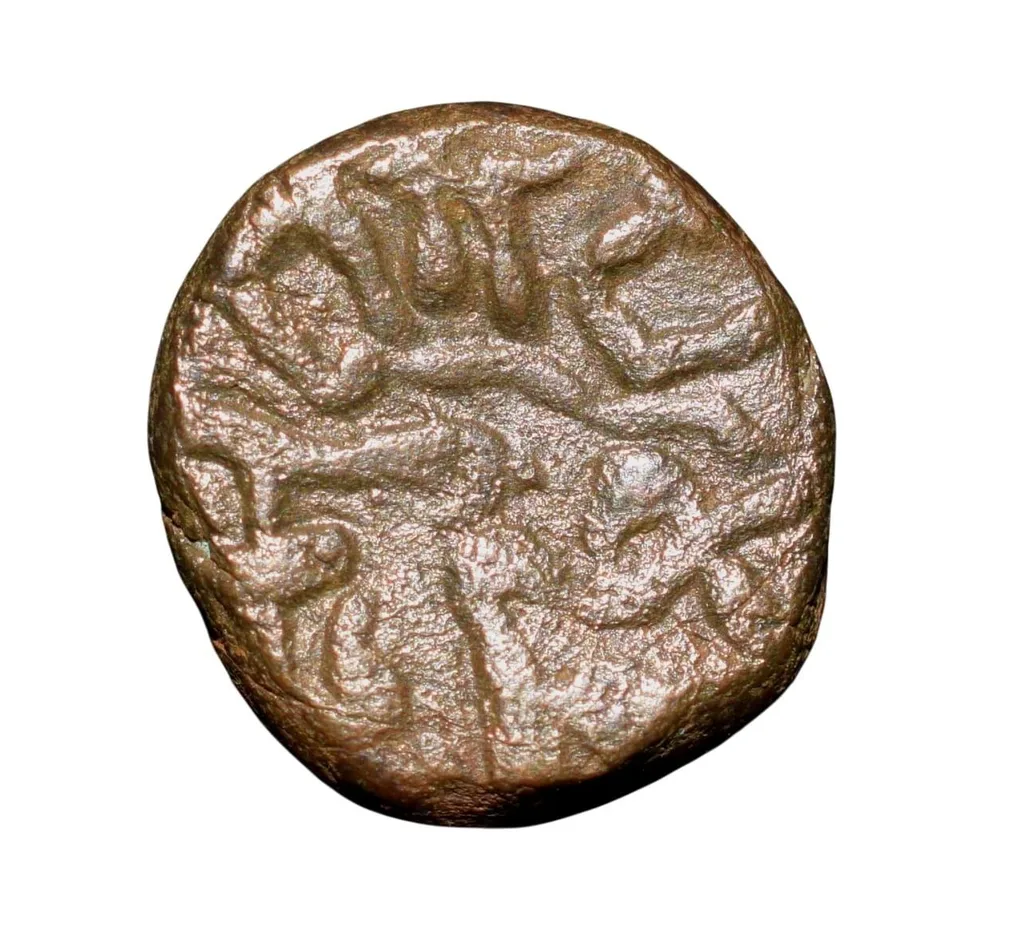 Copper Kakani of Ganapati Naga(c. 3rd Cen. AD) of Nagas Dynasty from Padmavati Bull Type