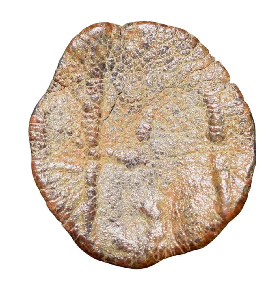 Lead Coin of Vakataka's (5th - 7th Cen. AD) with Trident on Stand Rare