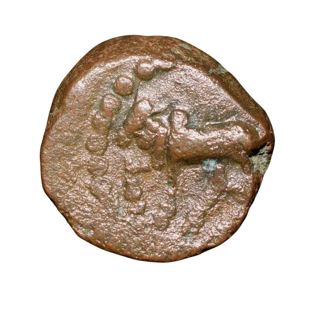 Copper Kakani of Ganapati Naga(c. 3rd Cen. AD) of Nagas Dynasty from Padmavati Bull Type