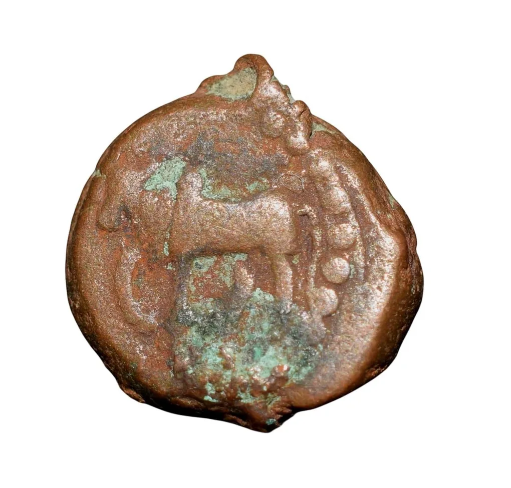 Copper Kakani of Ganapati Naga(c. 3rd Cen. AD) of Nagas Dynasty from Padmavati Bull Type