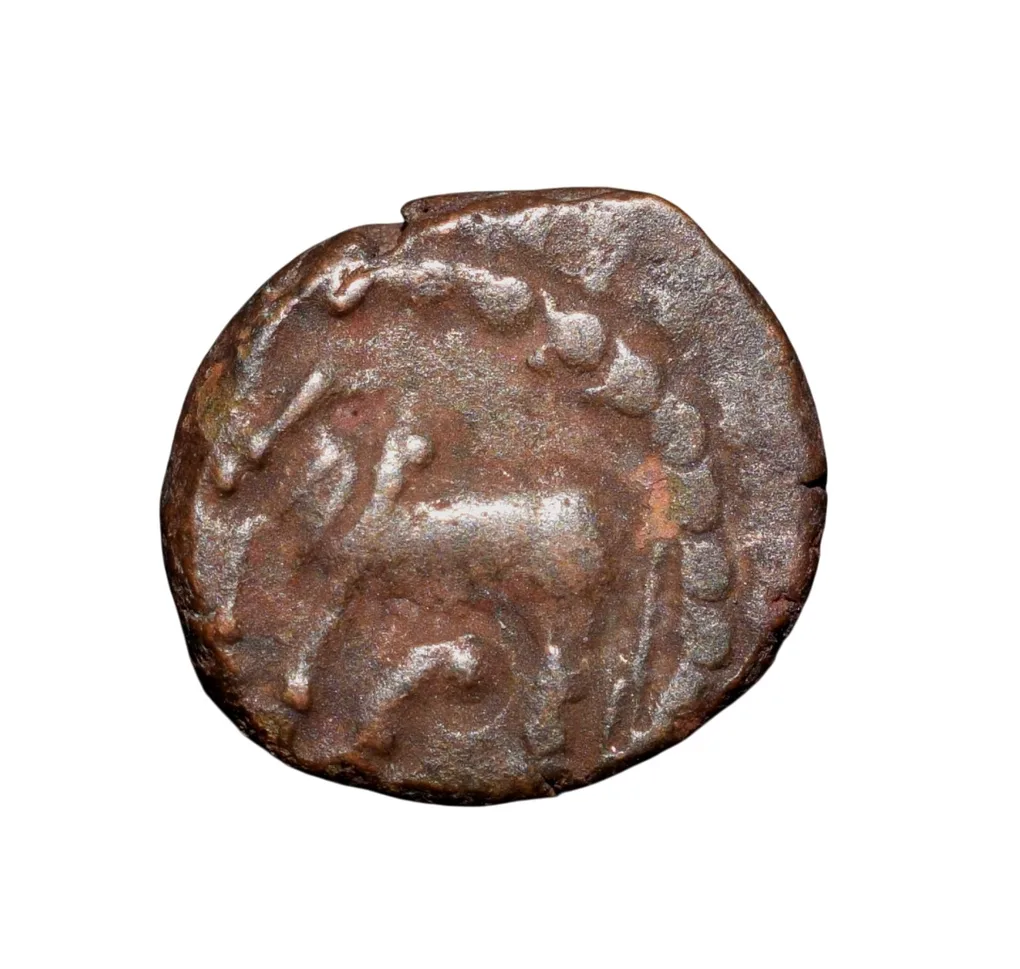 Copper Kakani of Ganapati Naga(c. 3rd Cen. AD) of Nagas Dynasty from Padmavati Bull Type