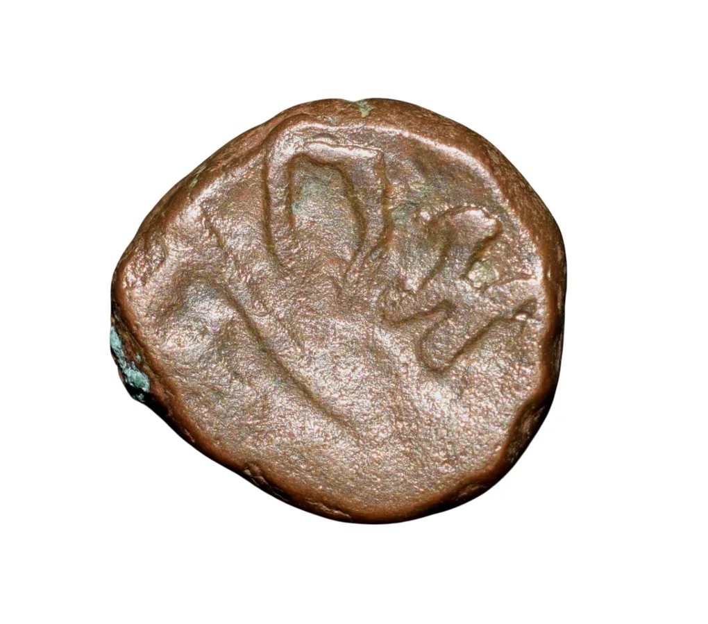Copper Kakani of Ganapati Naga(c. 3rd Cen. AD) of Nagas Dynasty from Padmavati Bull Type