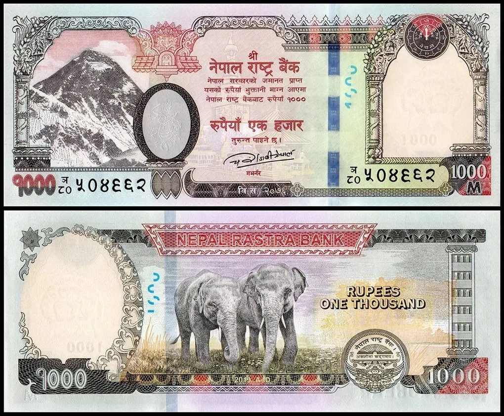 Nepal 1000 Rupees World Banknote from 2019 features Mount Everest and Elephants UNC Unique and rare