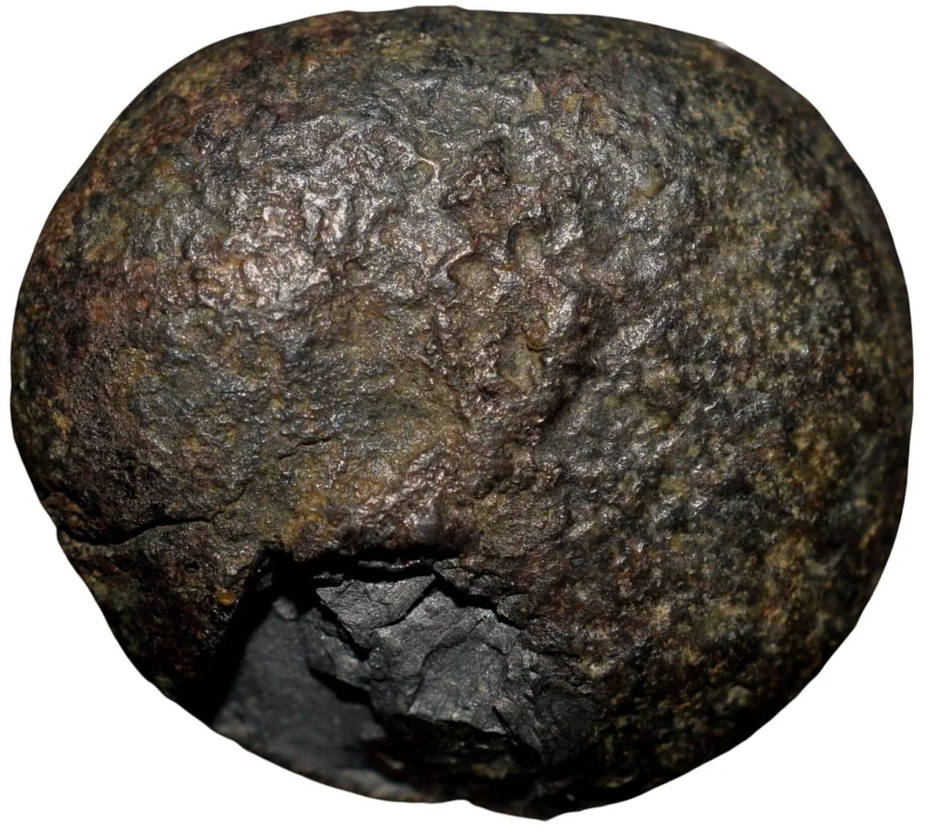 Black mixed bell metal Cast Copper from Vidarbha(4th - 3rd Cen. BC) Tiscali above Lion walking Right Ext. Rare