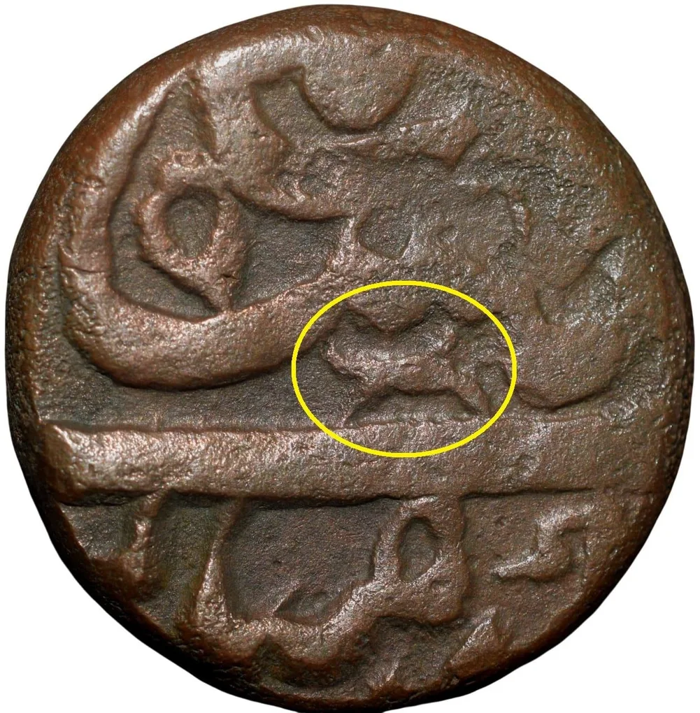 Copper Paisa of Nawabs of Elichpur (17th - 18th Cen. AD) of Mughal Style Inscription with Lion/Tiger Mint Mark