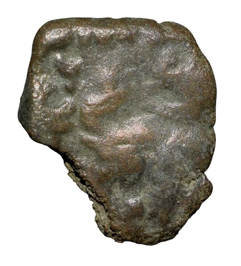 Copper Coin of Satakarni of Satavahan Dynasty (1st Cen. BC) from Daunath Region with Elephant walking left/Tree Railing