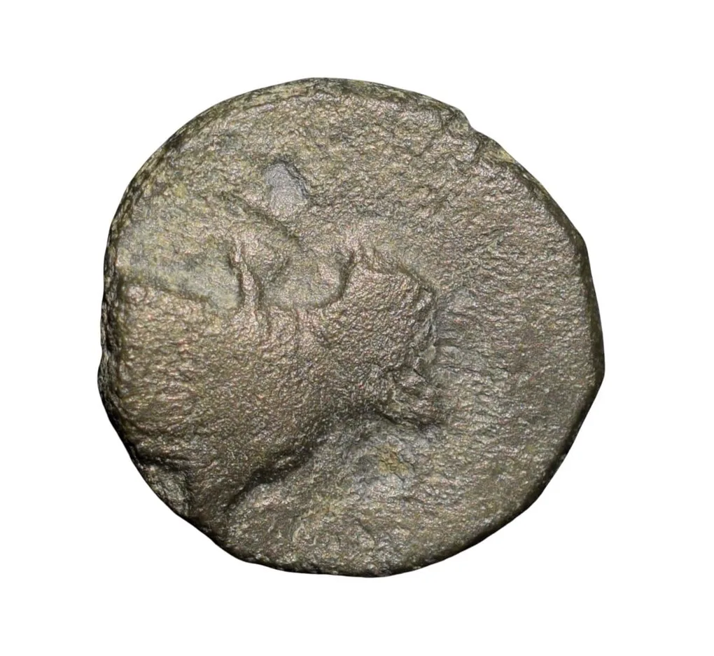 Copper-Alloy Coin of Bhimavarman(3rd Cen. AD) of Magh Dynasty of Kausambhi Bull/Tree & Brahmi Legends