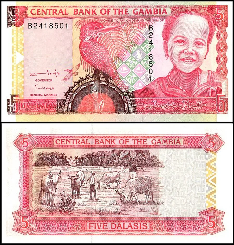 Gambia 5 Dalasis World Banknote UNC Unique and Rare
