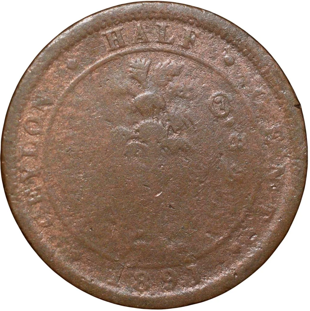 Copper 1/2 Cent of Victoria (AD 1891) from Ceylon(Sri Lanka) Rare