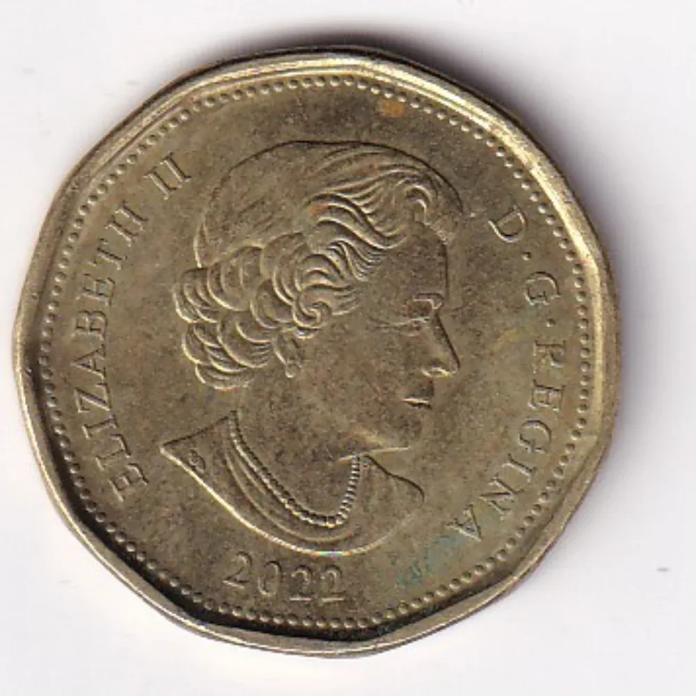 Canada 1 Dollar (2022) Rare Coloured Coin
