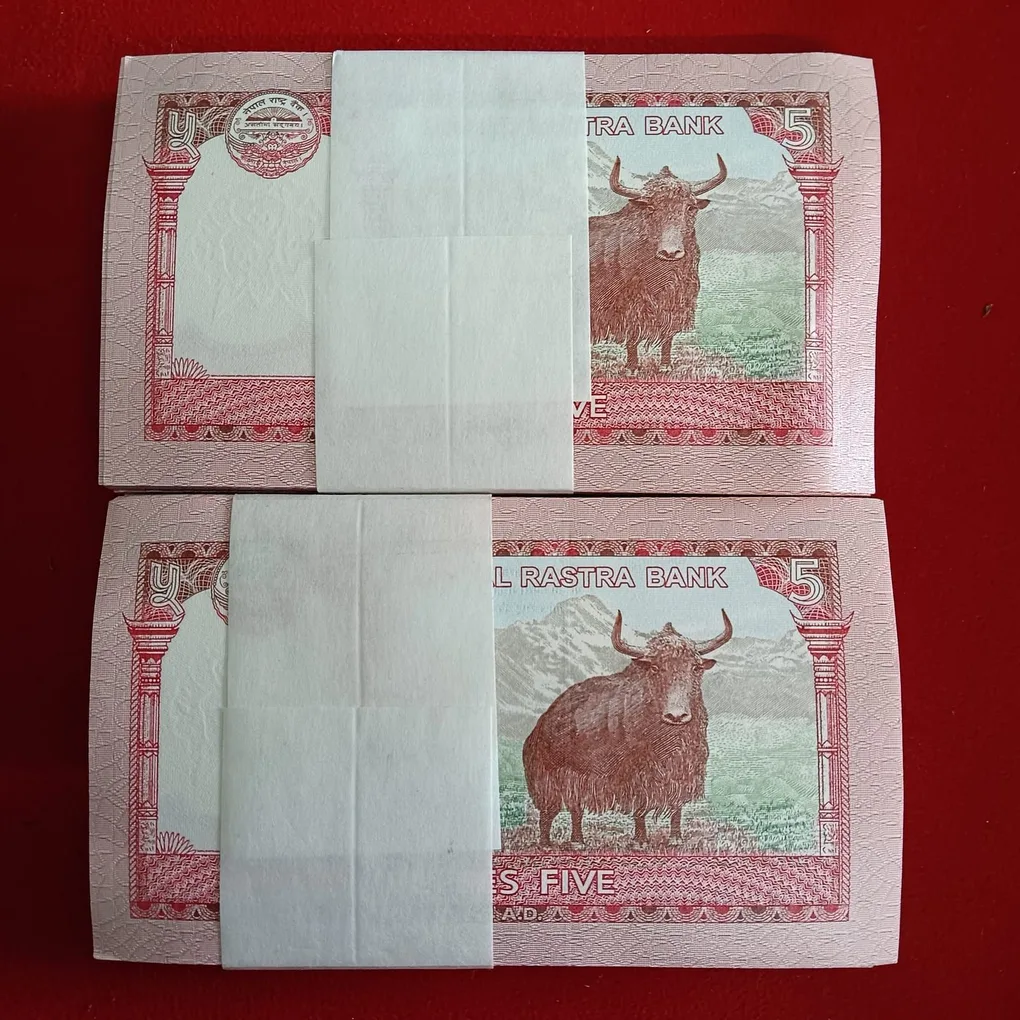 Five Rupees Nepal Full Bundle Gem Unc Condition Nepal Rastra Bank