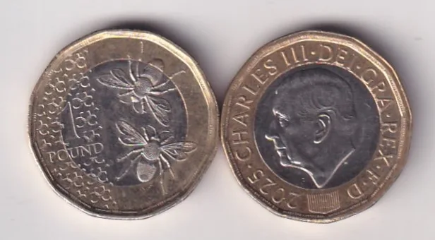 United Kingdom 1 Pound - Charles III Honey Bees rare Bimetallic Coin #X-39